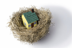 Palm State makes home ownership your nest egg! 