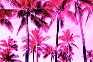 Pink Palm Trees symbolize Palm State Mortgage's Committment to Cancer Awareness.